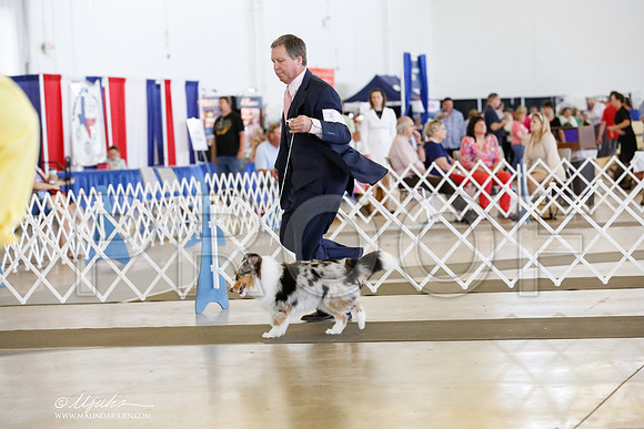_CK_1214-DallasJul2014-HR3