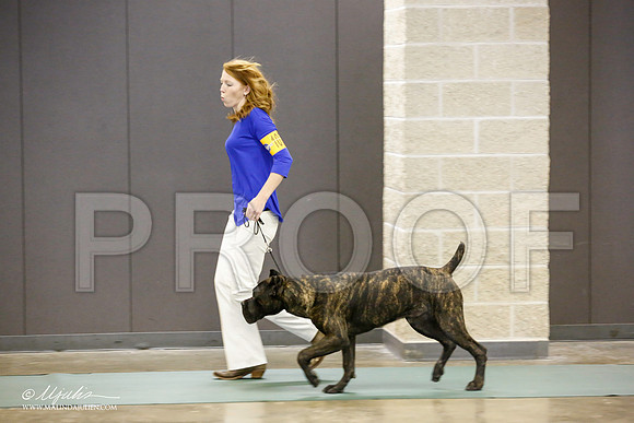 _JN_1657-BeltonJan2015-HR3