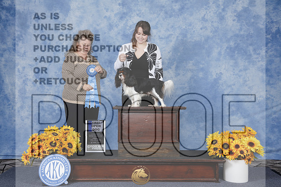 CKCS #27 Fri 1 Open Judge Carol Lynn Johnson_WP_7674e_Houston Toy Show 2026
