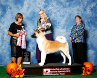 #162 Wed BOS to Maturity Junior Judge Ms Sylvia Thomas