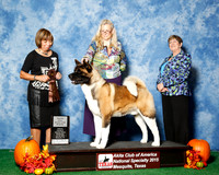 #37 Wed 2nd 24 & under Maturity Judge Ms Sylvia Thomas