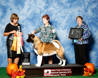 #44 Wed Grand Futurity Winner Judge Ms Sylvia Thomas