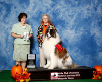 Betty Ann Ogus Wed Adv CGC Urban CGC