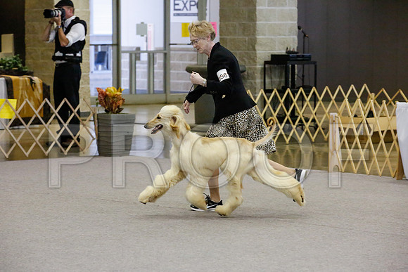 _JJ_1610-AfgBeltonOct2014-HR3