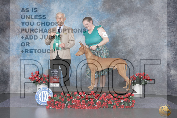 Pharoh Hound #5 Sun OHG3 Judge William Daugherty_WP_9884e_Tyler 2026
