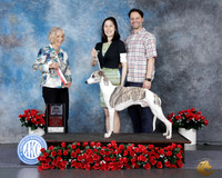 Christine Beisert Tyler 2026