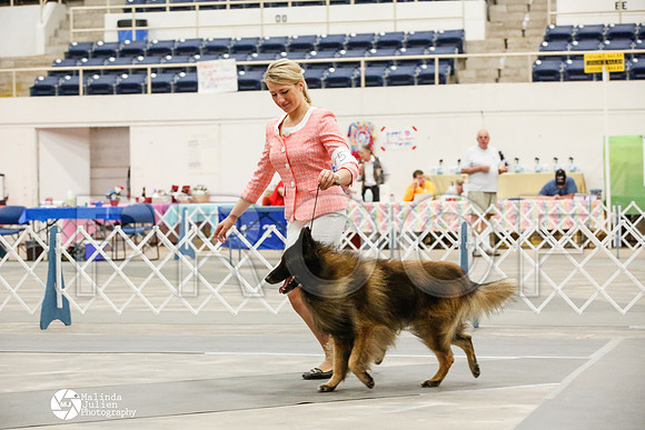 _JJ_9557-AblnMay2014-web
