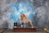 Whippet #101 Fri BOB Judge Bill Smith