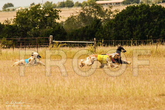 _MJ_5336-AfgBeltonOct2014-HR3