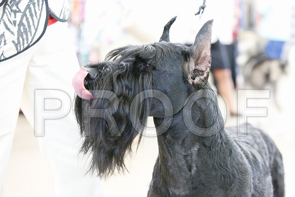 _JJ_0204-DallasJul2014-HR3