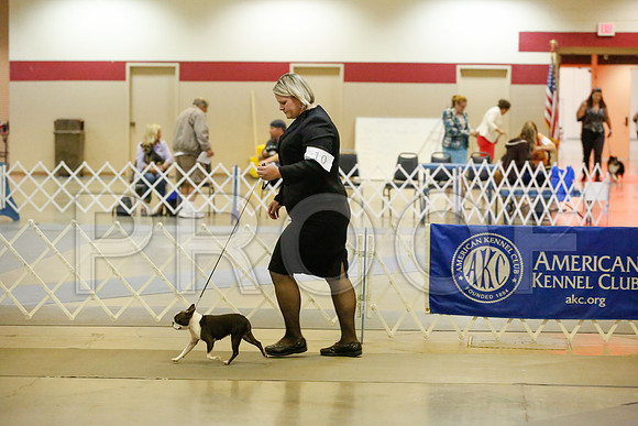 _JJ_8586-AmarilloSept2014-HR3