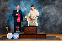 Beagle 15 #15 Fri G2 Judge Tim Robbins