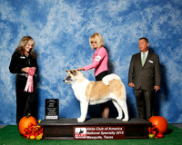 #106 Thurs 1st 7 to 8 Vet JUDGE Ms Jodi Lundin