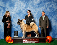 #110 Thurs 2nd 7 to 8 Vet JUDGE Ms Jodi Lundin