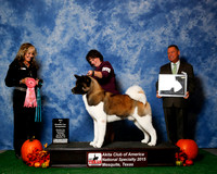 #111 Best Breeders Cup JUDGE Ms Jodi Lundin