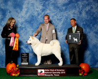 #118 Thurs Best Vet JUDGE Ms Jodi Lundin