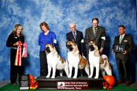 #12 Thurs Best in 3 Gen JUDGE Ms Jodi Lundin