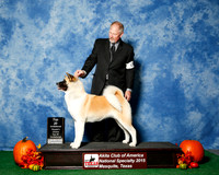 #12 Thurs Top 20 Judges Nancy Simmons & Michael Shepherd