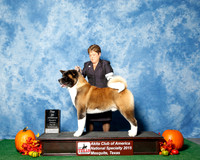 #15 Thurs Top 20 Judges Nancy Simmons & Michael Shepherd
