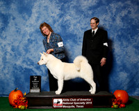 #16 Top 20 Judges Nancy Simmons & Michael Shepherd