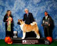 #19 Thurs Grand Sweeps JUDGE Ms Jodi Lundin