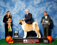 #19 Thurs Grand Sweeps RESHOOT JUDGE Ms Jodi Lundin