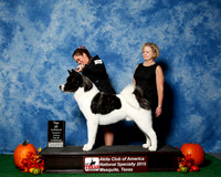#19 Top 20 Judges Nancy Simmons & Michael Shepherd