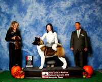 #20 Thurs 2nd 6 to 9 JUDGE Ms Jodi Lundin
