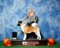 #20 Top 20 Judges Nancy Simmons & Michael Shepherd