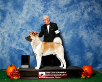 #23 Top 20 Judges Nancy Simmons & Michael Shepherd