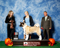 #26 Thurs 2nd 9 to 12 JUDGE Ms Jodi Lundin
