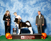 #27 Thurs 2nd 12 to 18 JUDGE Ms Jodi Lundin
