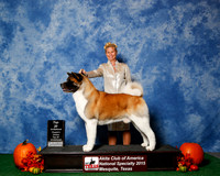 #27 Top 20 Judges Nancy Simmons & Michael Shepherd