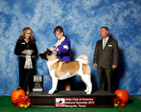 #28 Thurs 4th 9 to 12 JUDGE Ms Jodi Lundin