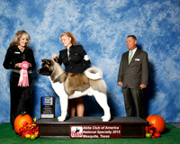 #29 Thurs 1st 12 to 18 JUDGE Ms Jodi Lundin