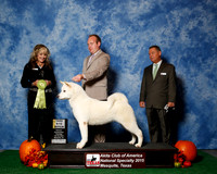 #34 Thurs 3rd 9 to 12 JUDGE Ms Jodi Lundin