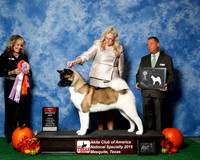 #50 Thurs BOS RESHOOT JUDGE Ms Jodi Lundin