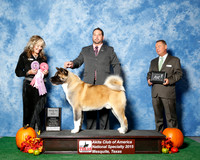 #51 Thurs BOS to Senior JUDGE Ms Jodi Lundin
