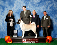 #64 Thurs 4th 12 to 18 JUDGE Ms Jodi Lundin