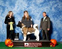 #68 Thurs 3rd 18 to 24 JUDGE Ms Jodi Lundin