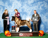 #77 Thurs BOS to Best Vet JUDGE Ms Jodi Lundin