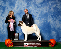 #78 Thurs BOS JUDGE Ms Jodi Lundin