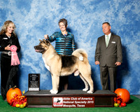 #81 Thurs 1st 9 to 10 vet JUDGE Ms Jodi Lundin
