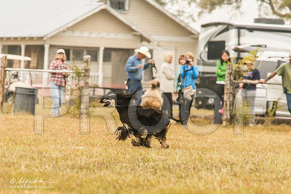_MJ_2896-AfgBeltonOct2014-HR3