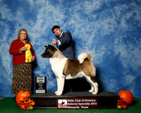 #45 Fri 3rd Open Dog JUDGE Ms Marion Dee Ward