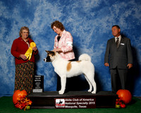 #46 Fri 3rd 12 to 15 JUDGE Ms Marion Dee Ward