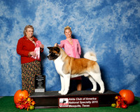#73 Fri 1st 7 to 9 Vet JUDGE Ms Marion Dee Ward