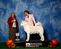 #75 Fri 4th Vet JUDGE Ms Marion Dee Ward