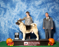 #81 Fri 2nd Vet JUDGE Ms Marion Dee Ward