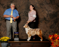 Australian Shepherd #22 Sat BOB Green Sherry Judge Steven D Gladstone